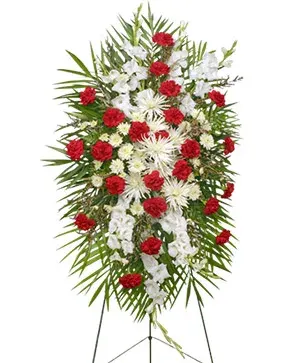 Graceful Red & White
