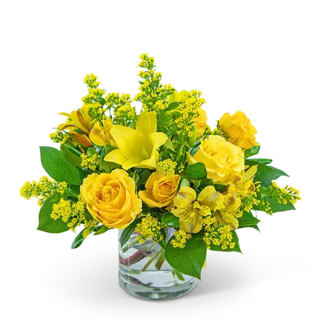 Canary Light