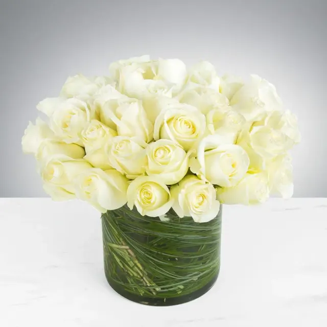Modern Two Dozen White Roses
