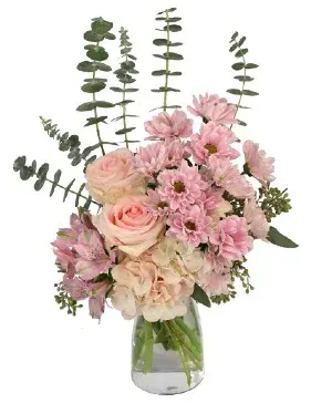 Wispy Pinks