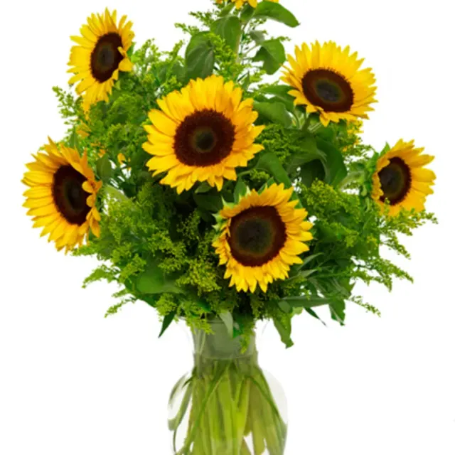 Baby's Snazzy Sunflowers
