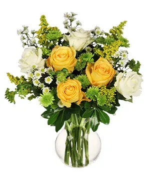 White & Yellow Roses
