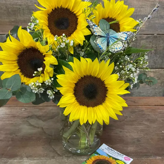 Sunflower Surprise
