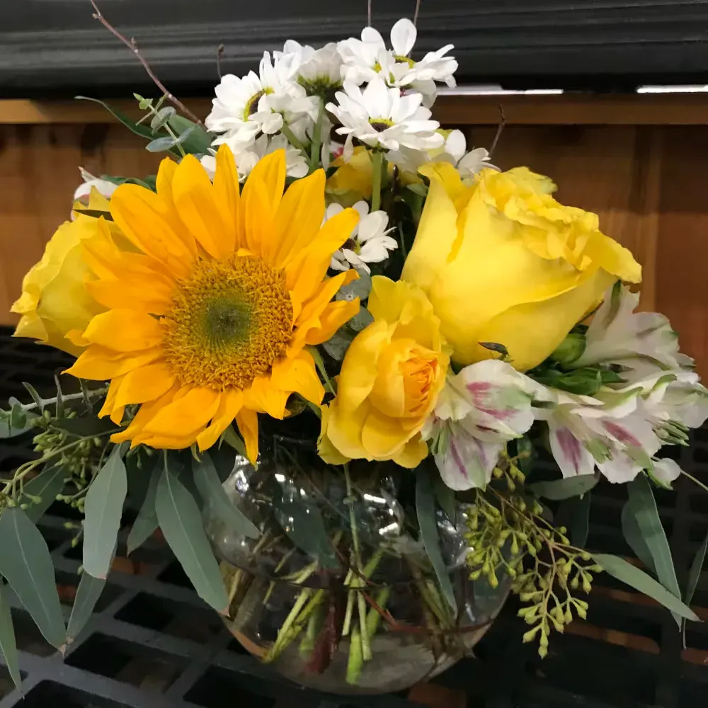 A Piece of Sunshine