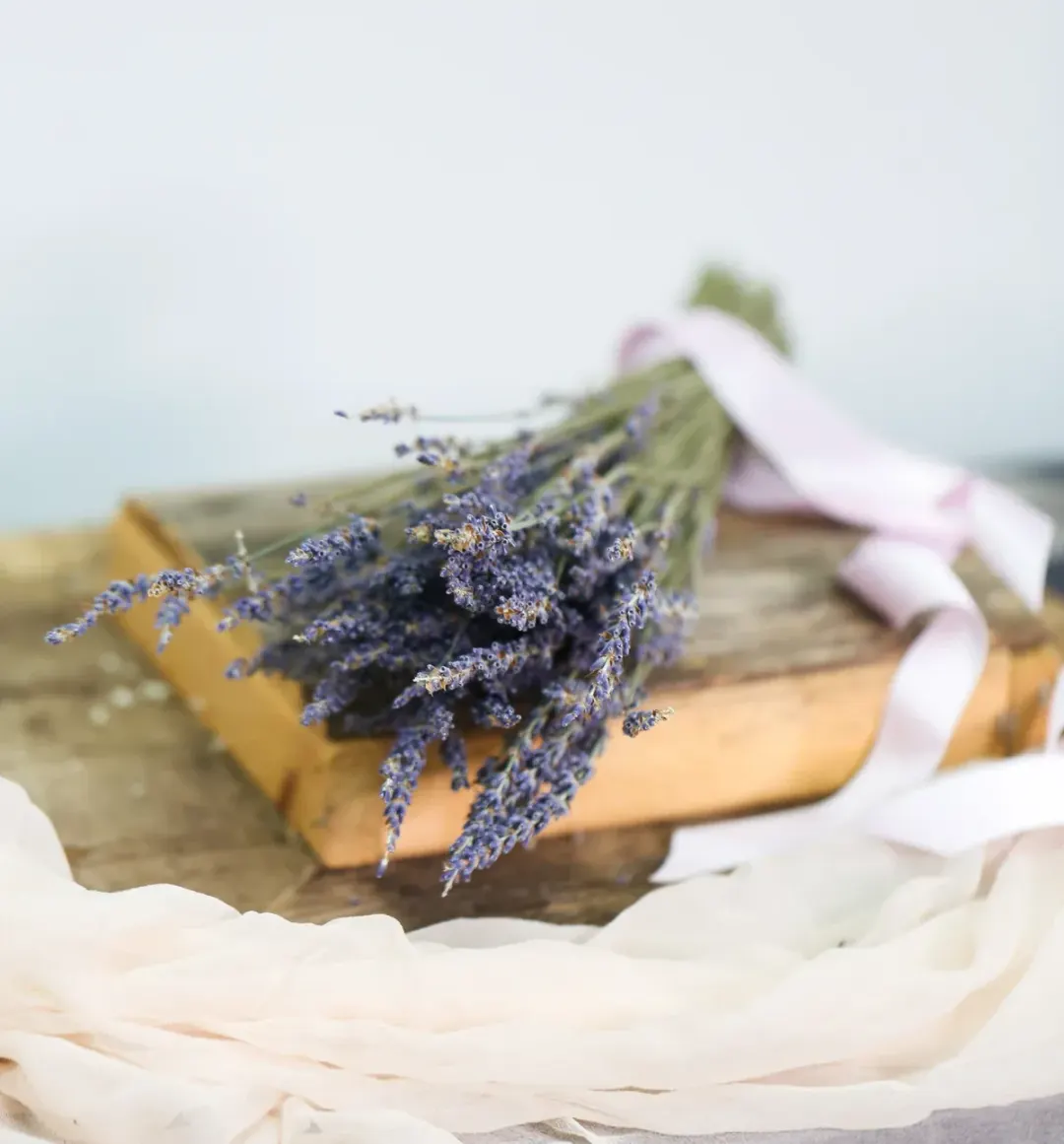 Natural Dried Lavender