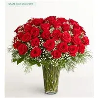 Rose Elegance Long Stem Red Roses