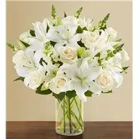 Classic All White Arrangement