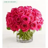 Contemporary Hot Pink Roses