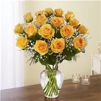 Rose Elegance Premium Long Stem Yellow Roses