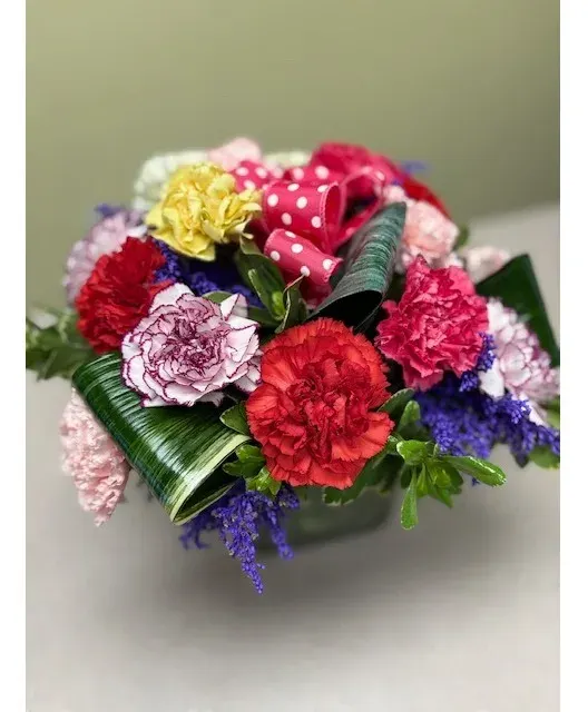 Classy Carnations