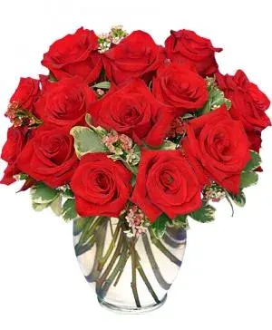 Classic Rose Royale