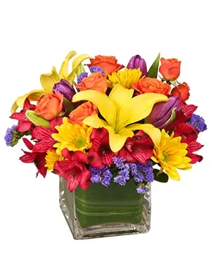 Sun-Infused Flowers