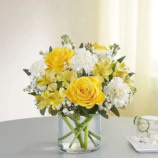 176259 Yellow and white delight