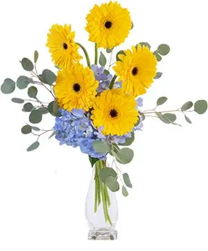 Yellow Blues