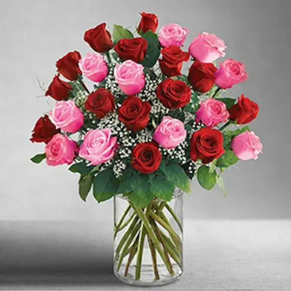 2 Dozen Red & Pink Long Stem Premium Roses