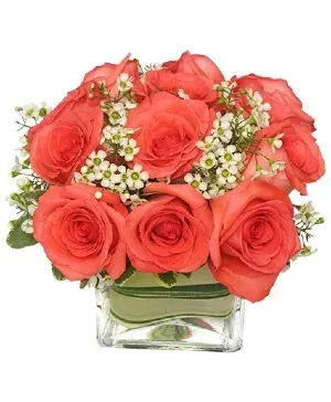 Coral Pink Perfection