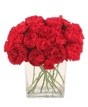 Red Carpet Bouquet