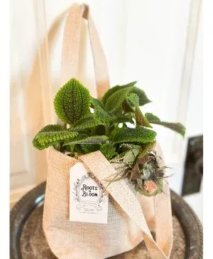 Plant Lovers Tote