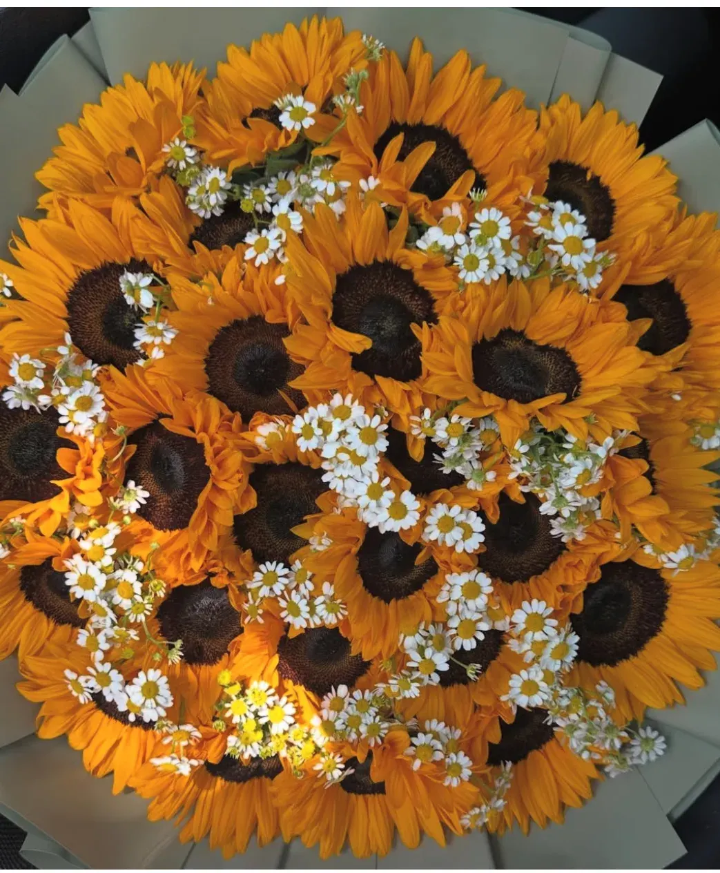 Sunflower Love
