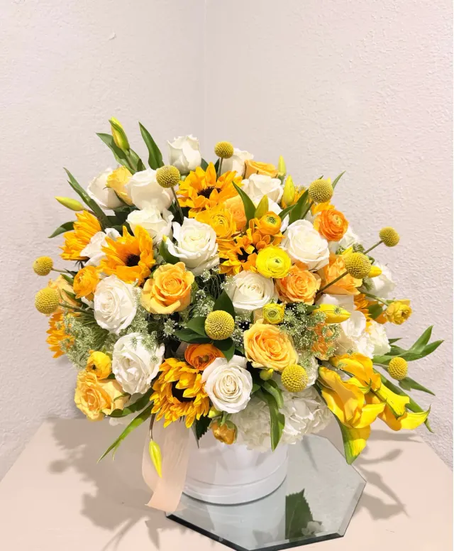 Yellow Mellow Love