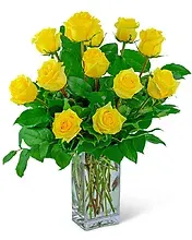 Yellow Roses (12)