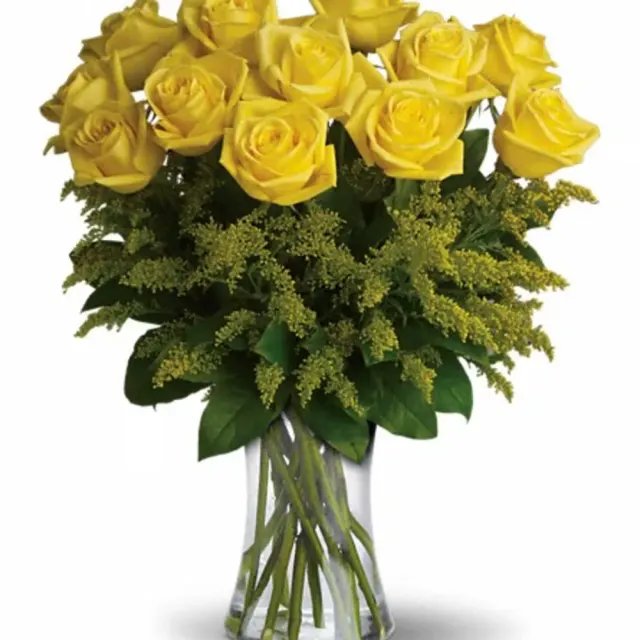 Sunshine Roses