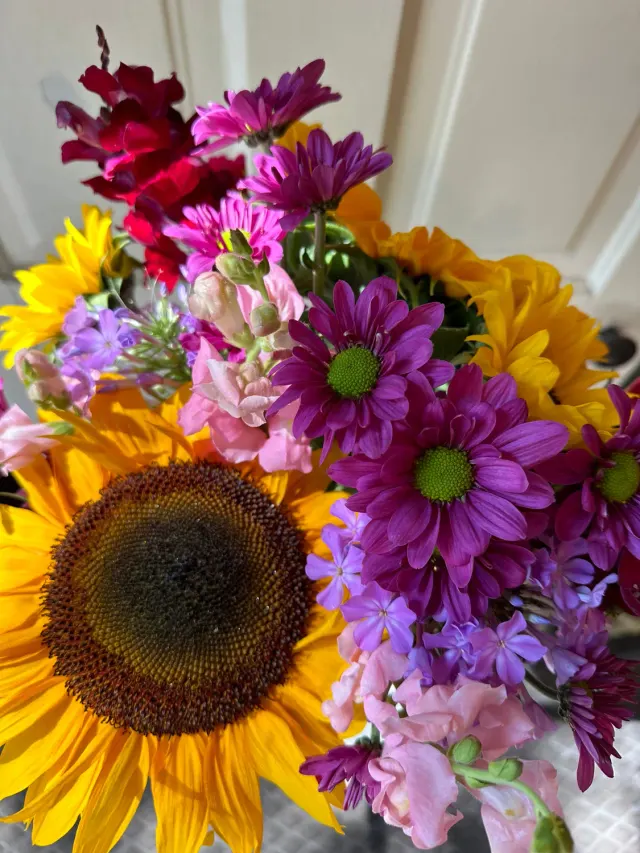 sunflowers and daisies
