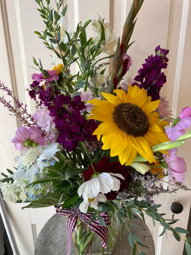 sunflower season