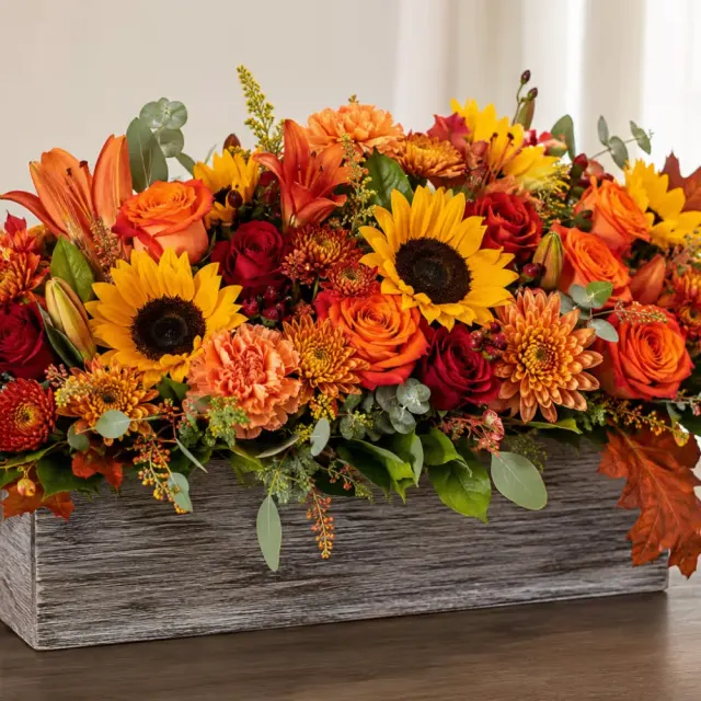 Fall Harvest Glow