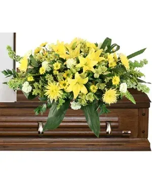 Mourning Sunshine