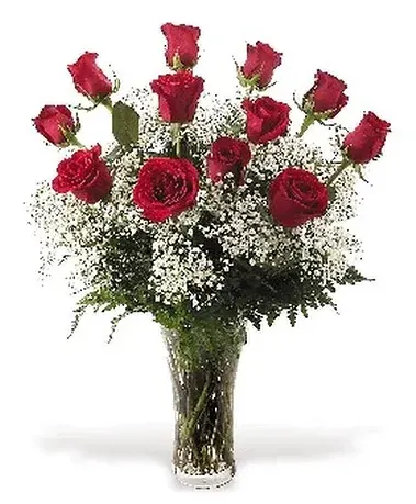 Sweet Love (Dozen Premium Roses)