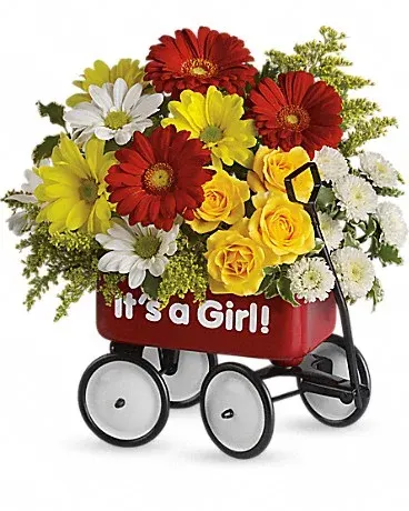 Baby's Wow Wagon by Teleflora - Girl