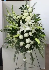 Peaceful White Blooms