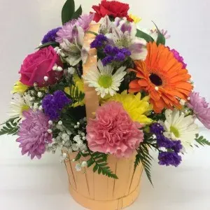 Bright Spring Blooms
