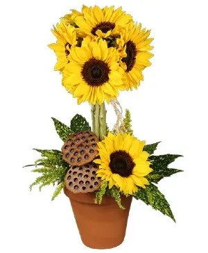 Pot O' Sunflowers