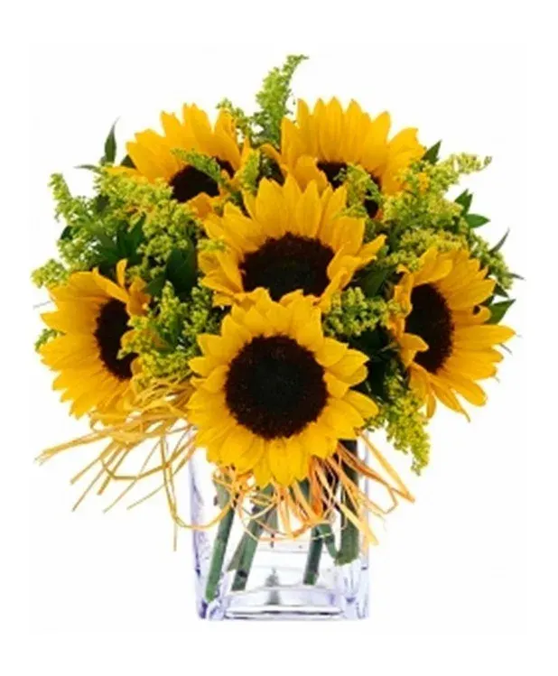 Sunflower Sunshine