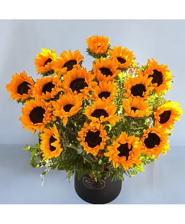 20 Sunflower