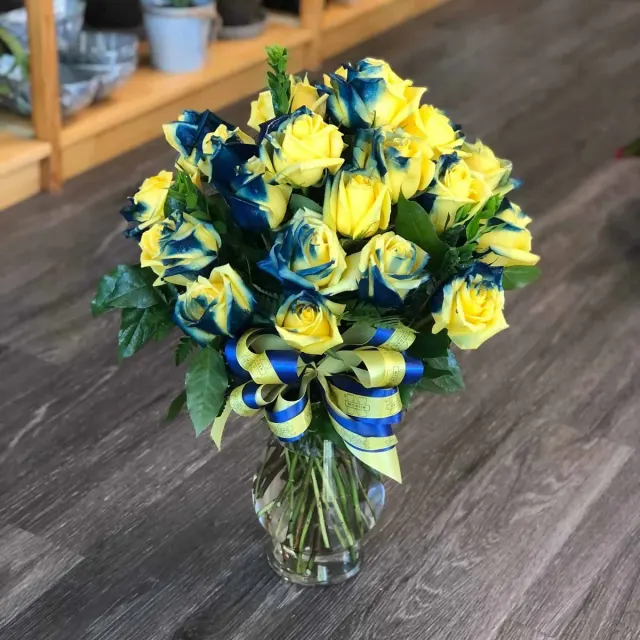 Go Blue!