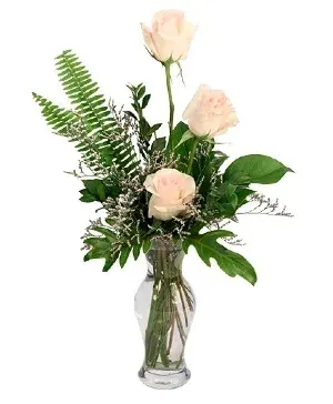 Captivating Cream Roses