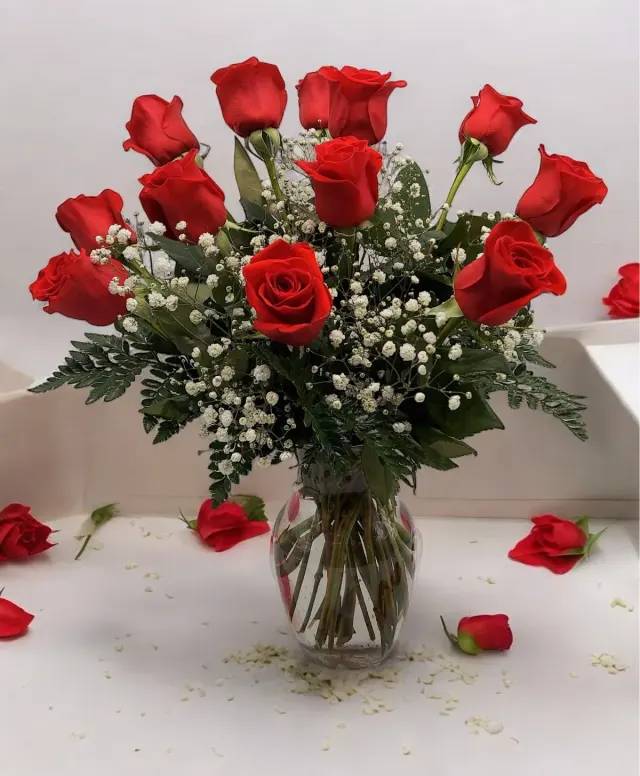 1 Dozen Red Roses, Medium Stem