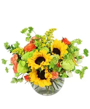 Supreme Sunflowers