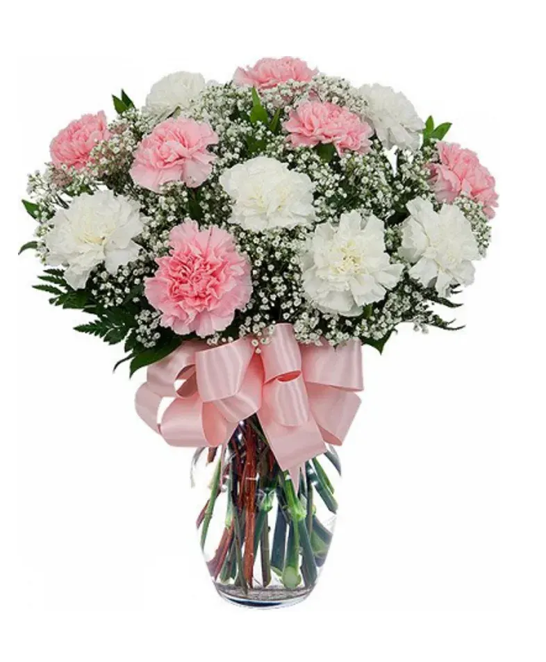 Cozy Carnations