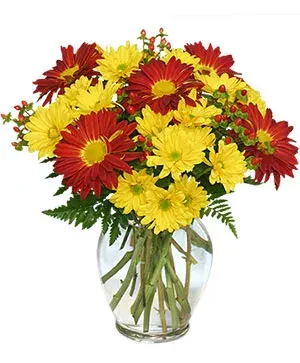 Red Rover & Yellow Daisy