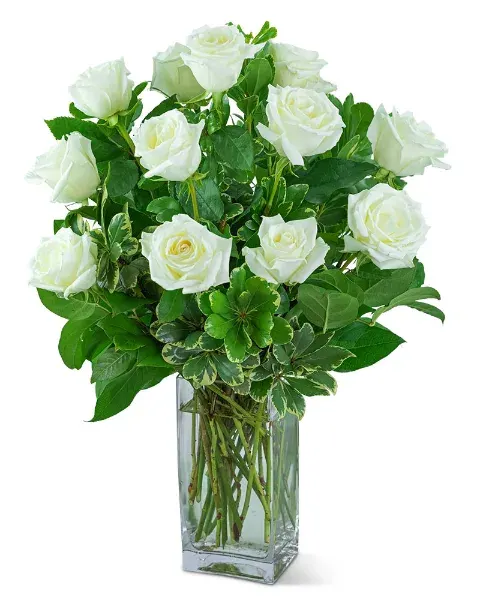 White Roses (12)