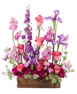 Whimsical Lavender