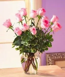 Pink Dozen