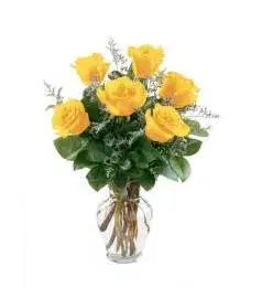 Half Dozen Yellow