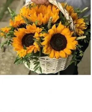 Sunflowers Basket