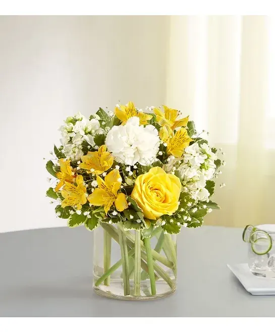 Yellow & White