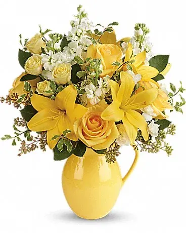 Sunny Outlook T601-1